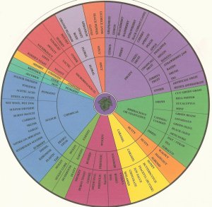 Aroma-wheel